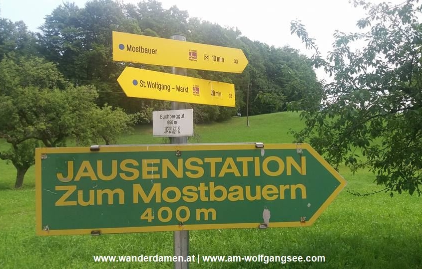 ORF Wanderung St. Wolfgang Jausenstation Mostbauer