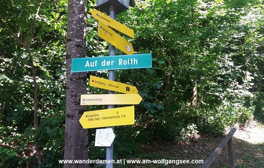 ORF Wanderung Kalvarienberg St. Wolfgang Wolfgangsee