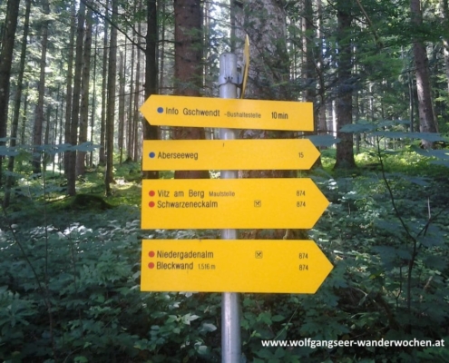 Strobl am Wolfgangsee: Zäpfensteig, Mahdhäusl, Niedergadenalm